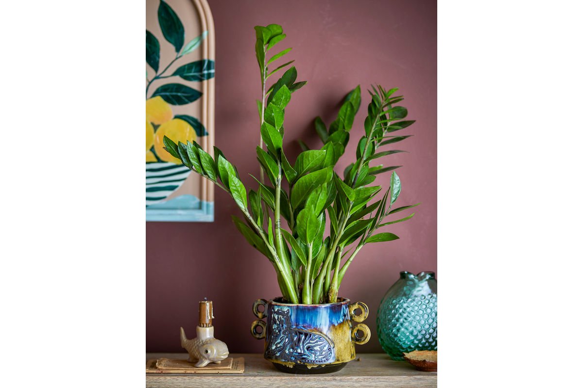 Blumentopf „Tigris“ – Buntes Steingut