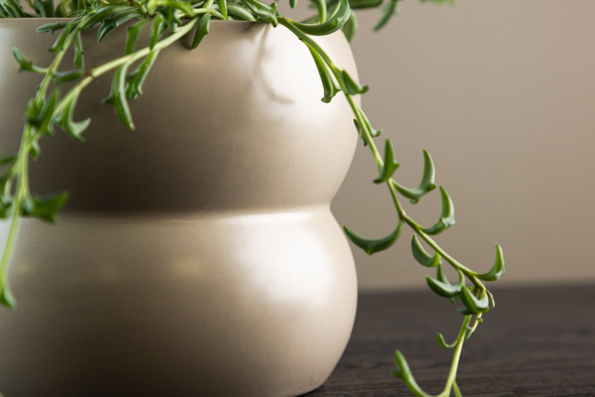 Blumentopf Orin - im dezenten Design aus Keramik