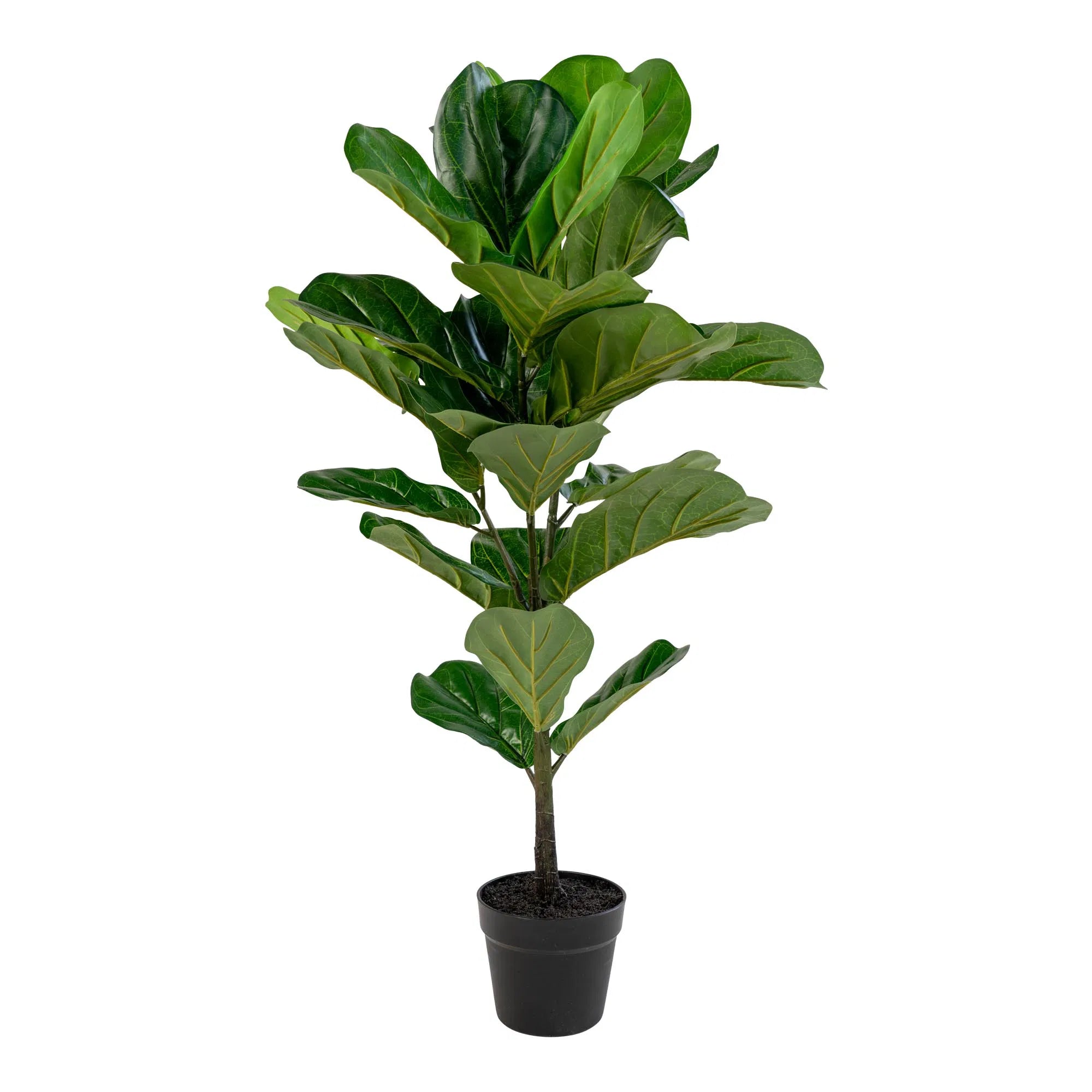 Kunstpflanze Fiddle Leaf Tree – 100 cm eleganter Hingucker mit großen Blättern