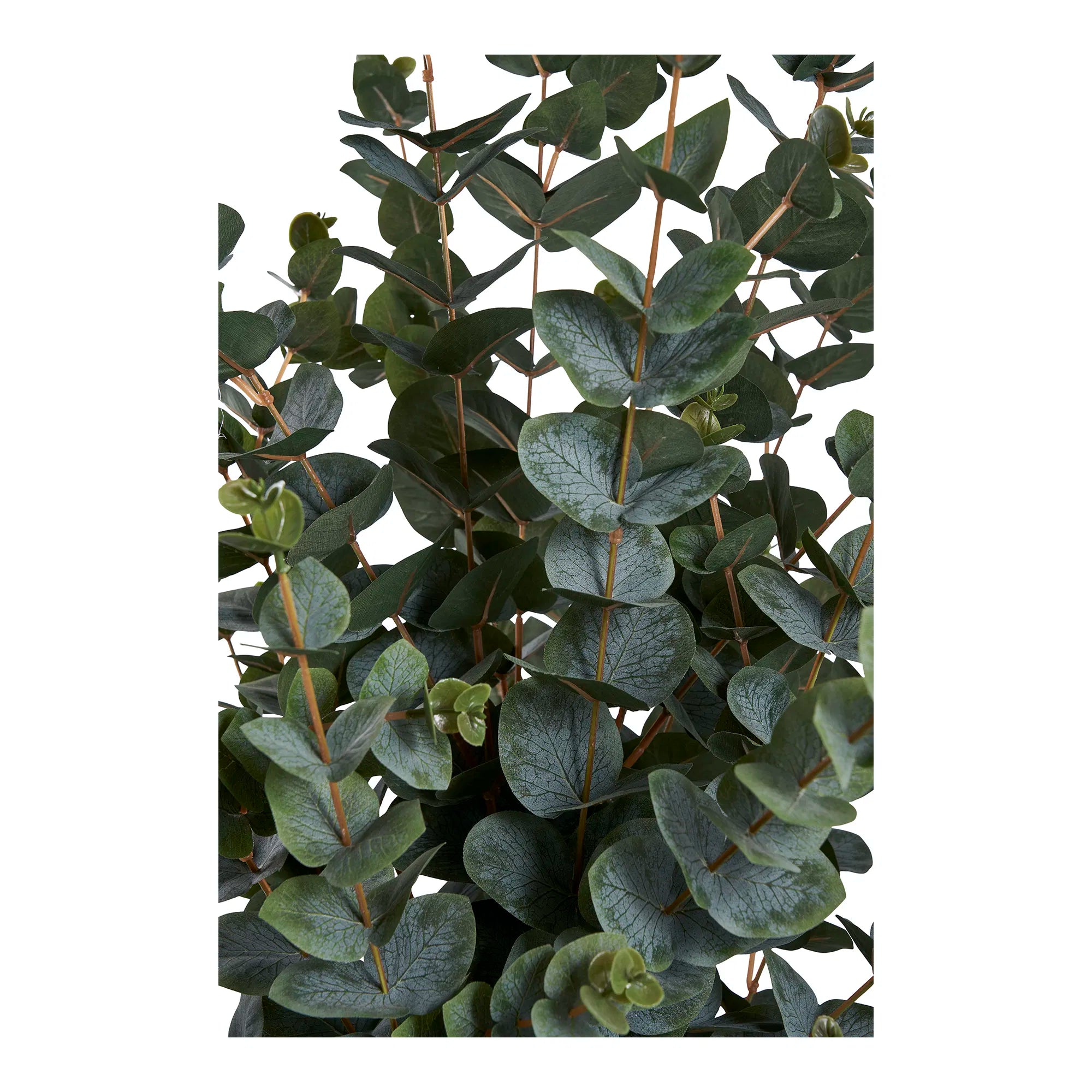 Umelá rastlina eukalyptus – 120 cm elegantná listová dekorácia pre tvoj domov