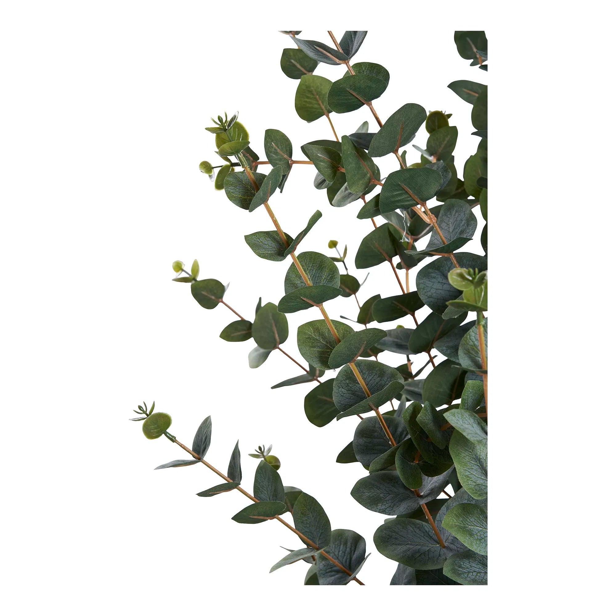 Umelá rastlina eukalyptus – 120 cm elegantná listová dekorácia pre tvoj domov