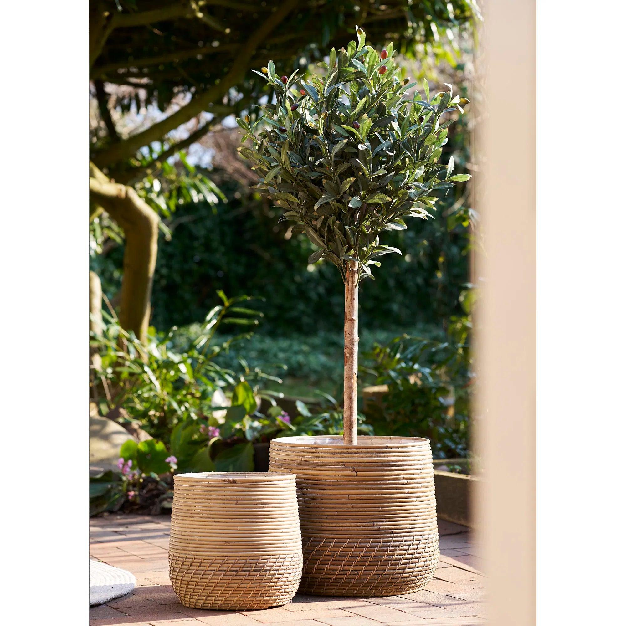 Kunstpflanze Olivenbaum – 120 cm mediterrane Eleganz für innen & außen