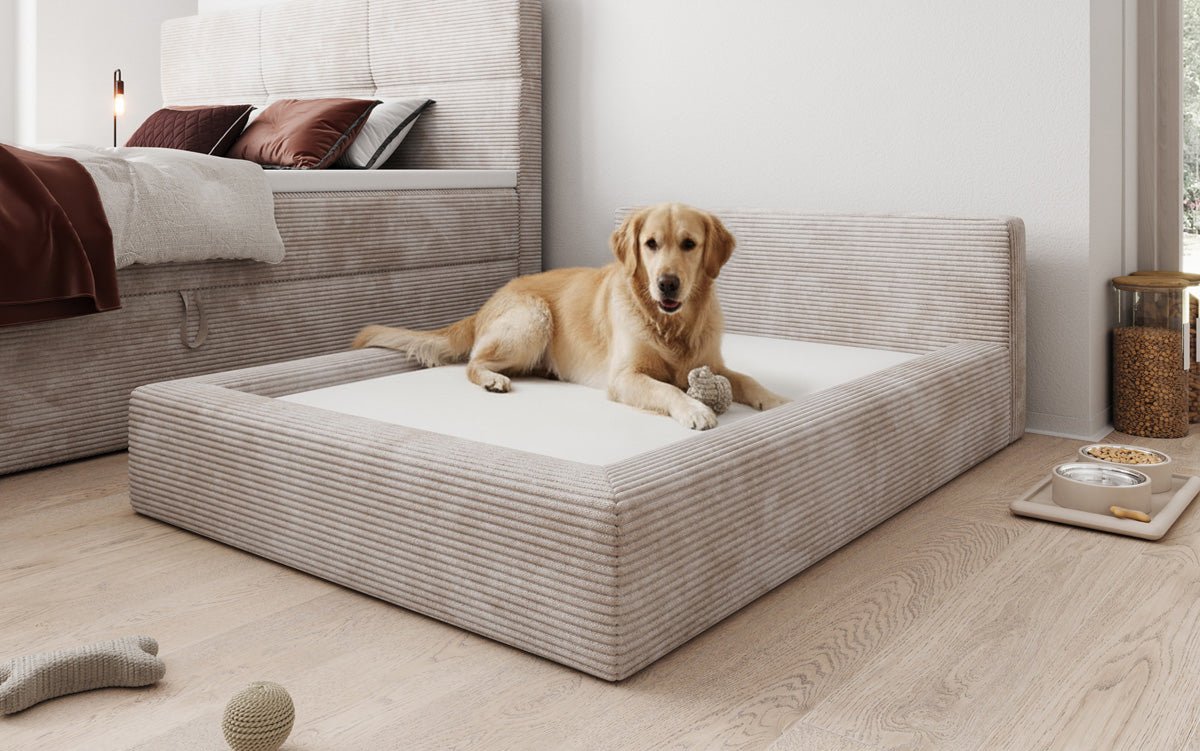Hundebett LupoLounge 140x100 cm in Cord