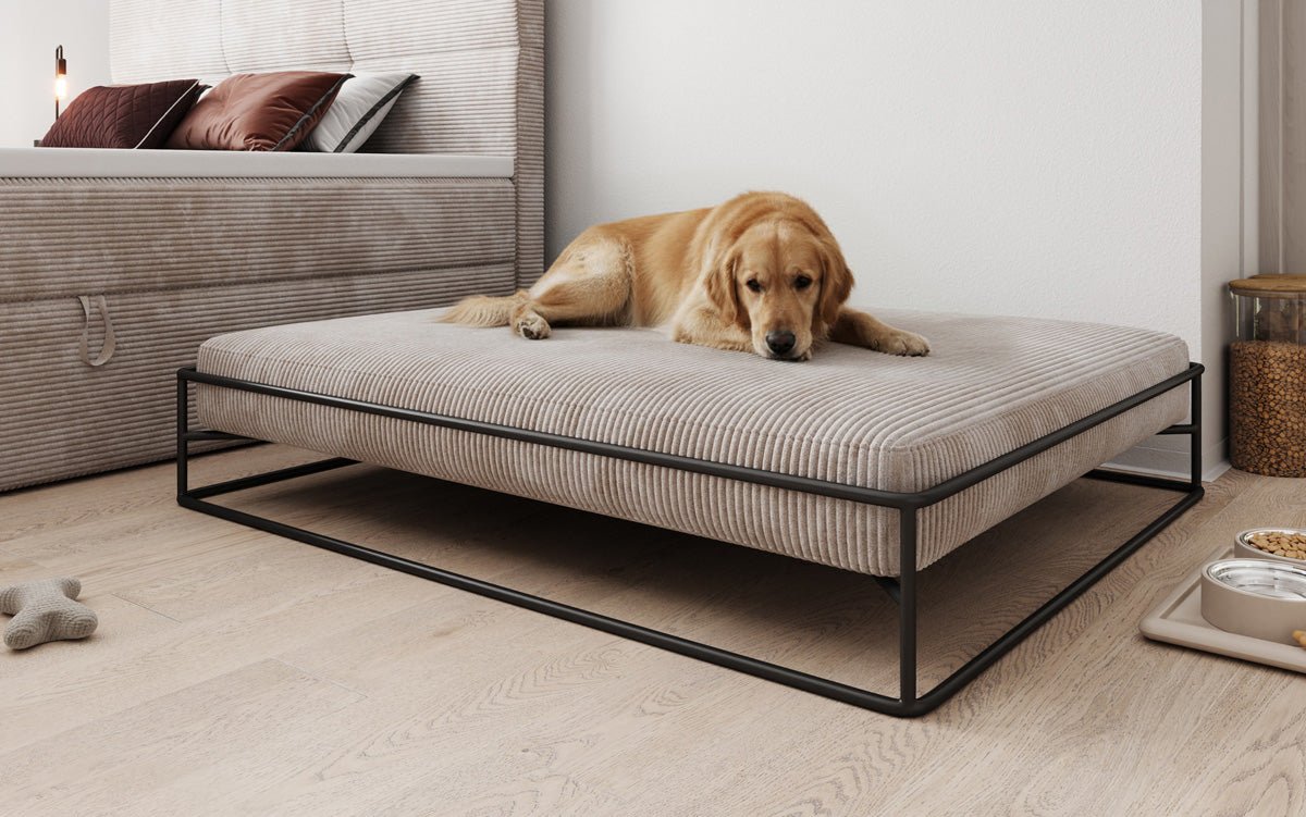Hundebett Lumo 100x120 cm in Cord