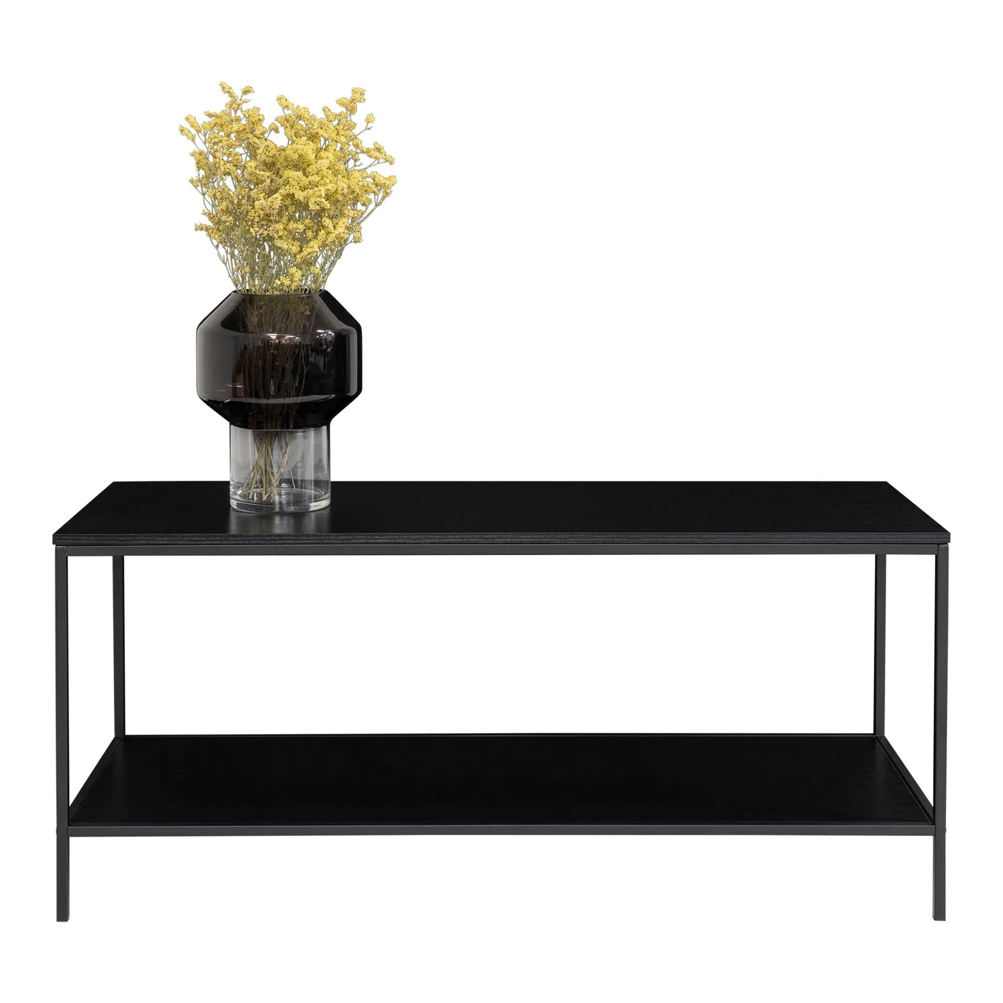 Designer Lowboard Quarto Metallgestell