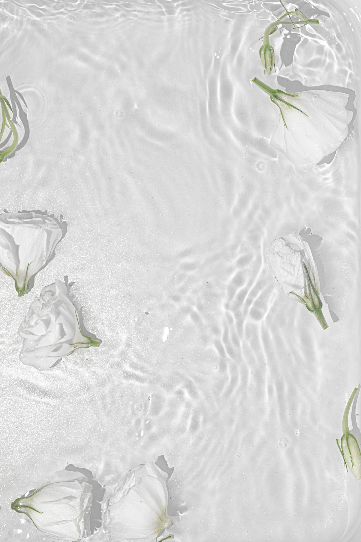 Plagát vodná hra z kvalitného papiera