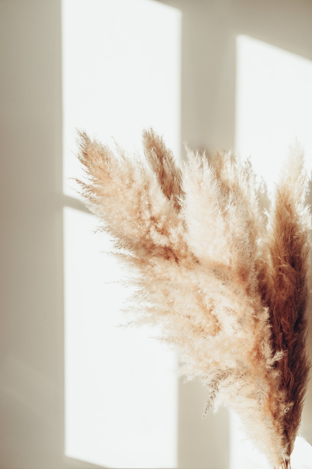 Plagát Serenity z kvalitného papiera