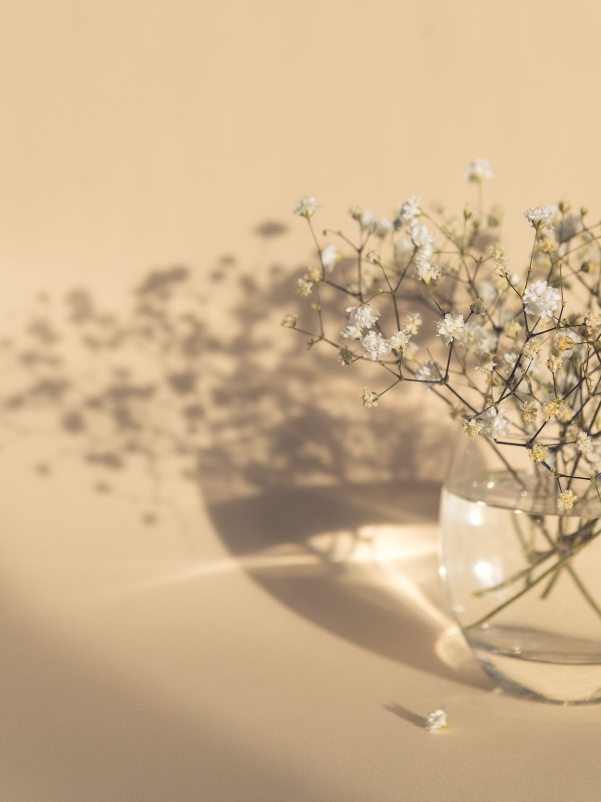 Plagát kvetinová váza z kvalitného papiera