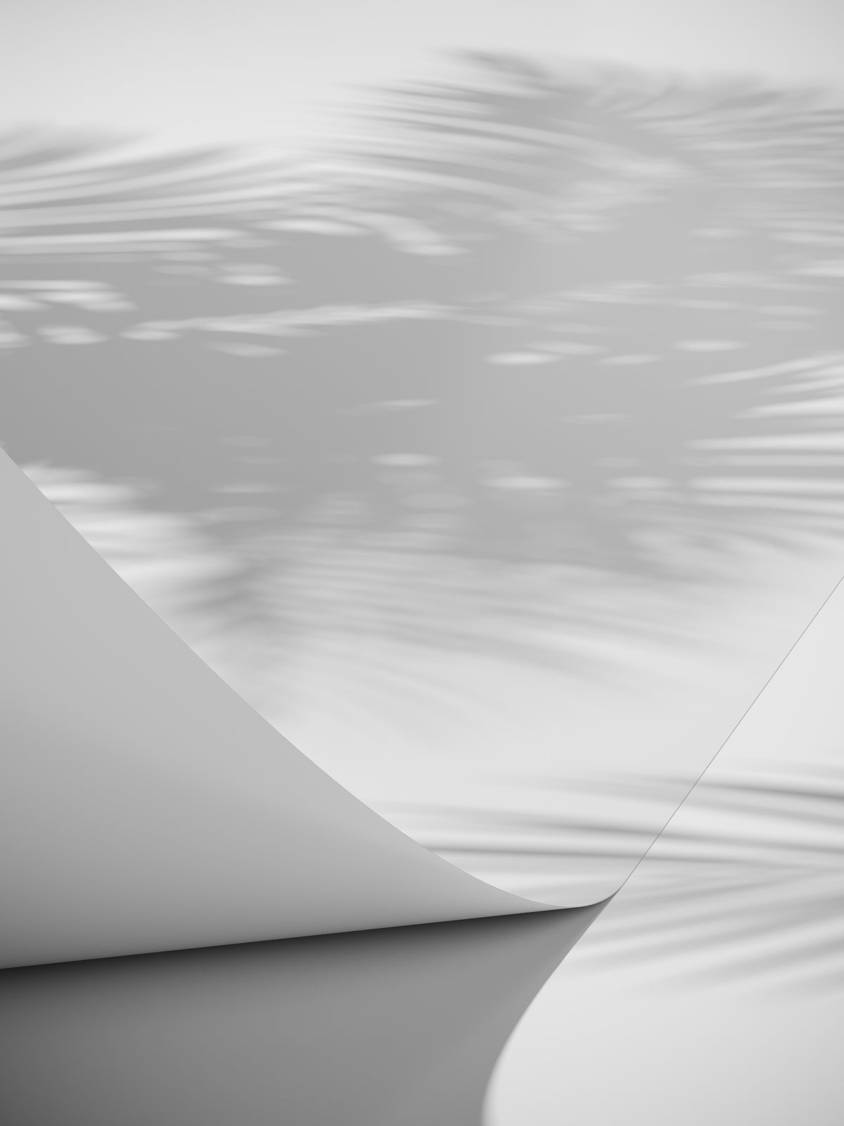 Plagát Linea z kvalitného papiera