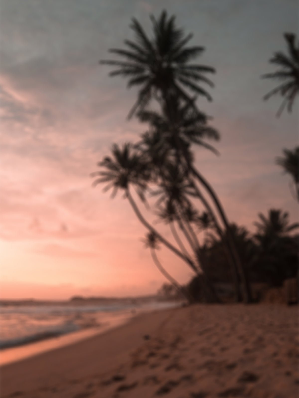 Plagát Beach z kvalitného papiera