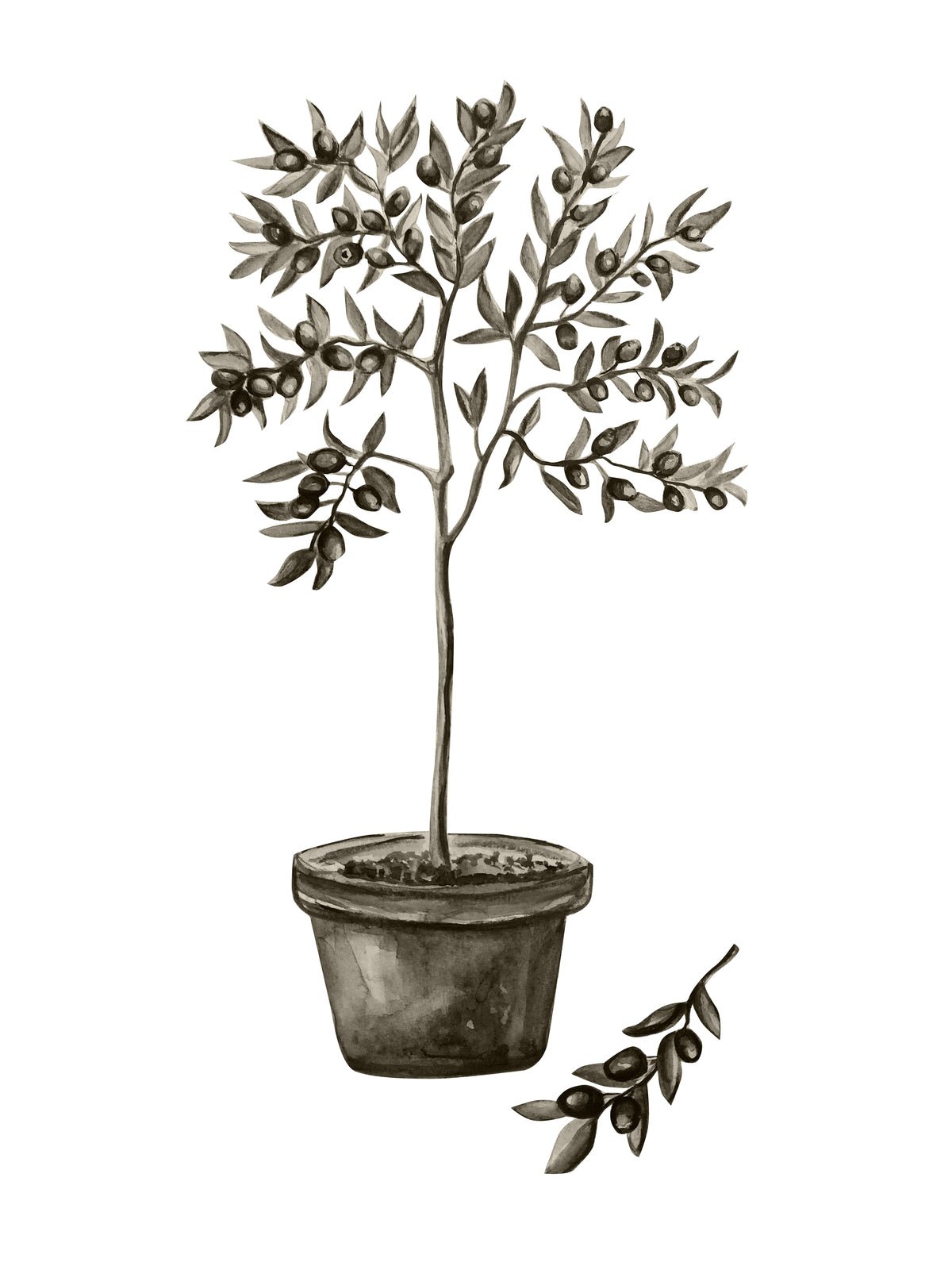 Plagát Mediterran z kvalitného papiera