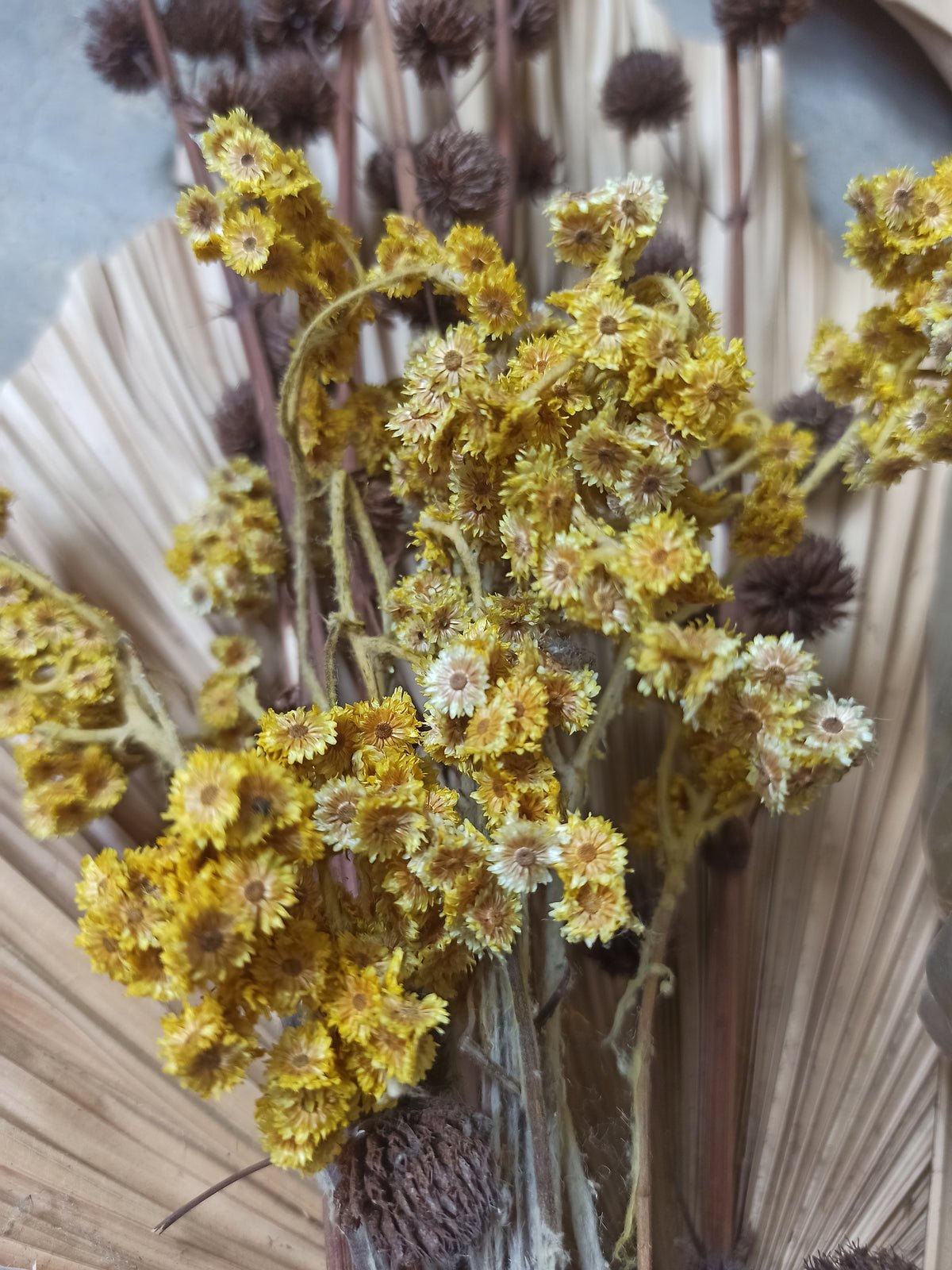 Plagát Flora z kvalitného papiera