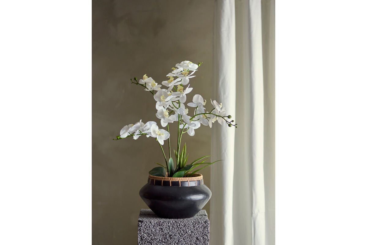 Umelá rastlina White Nola - 84 cm