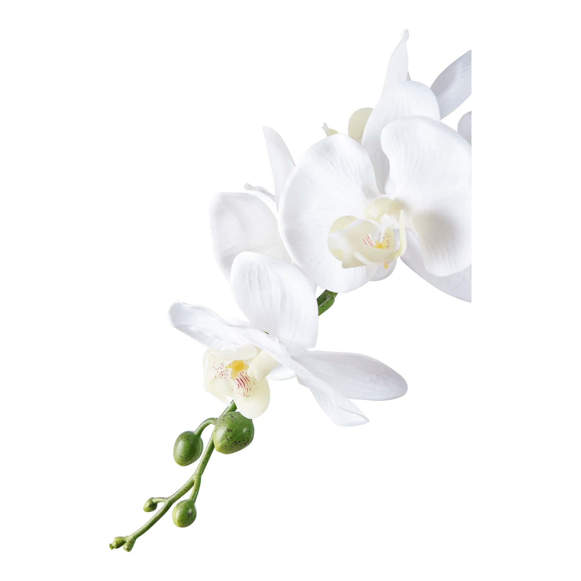 Umelá orchidea – 49 cm elegantné kvetinové prepych pre štýlové priestory