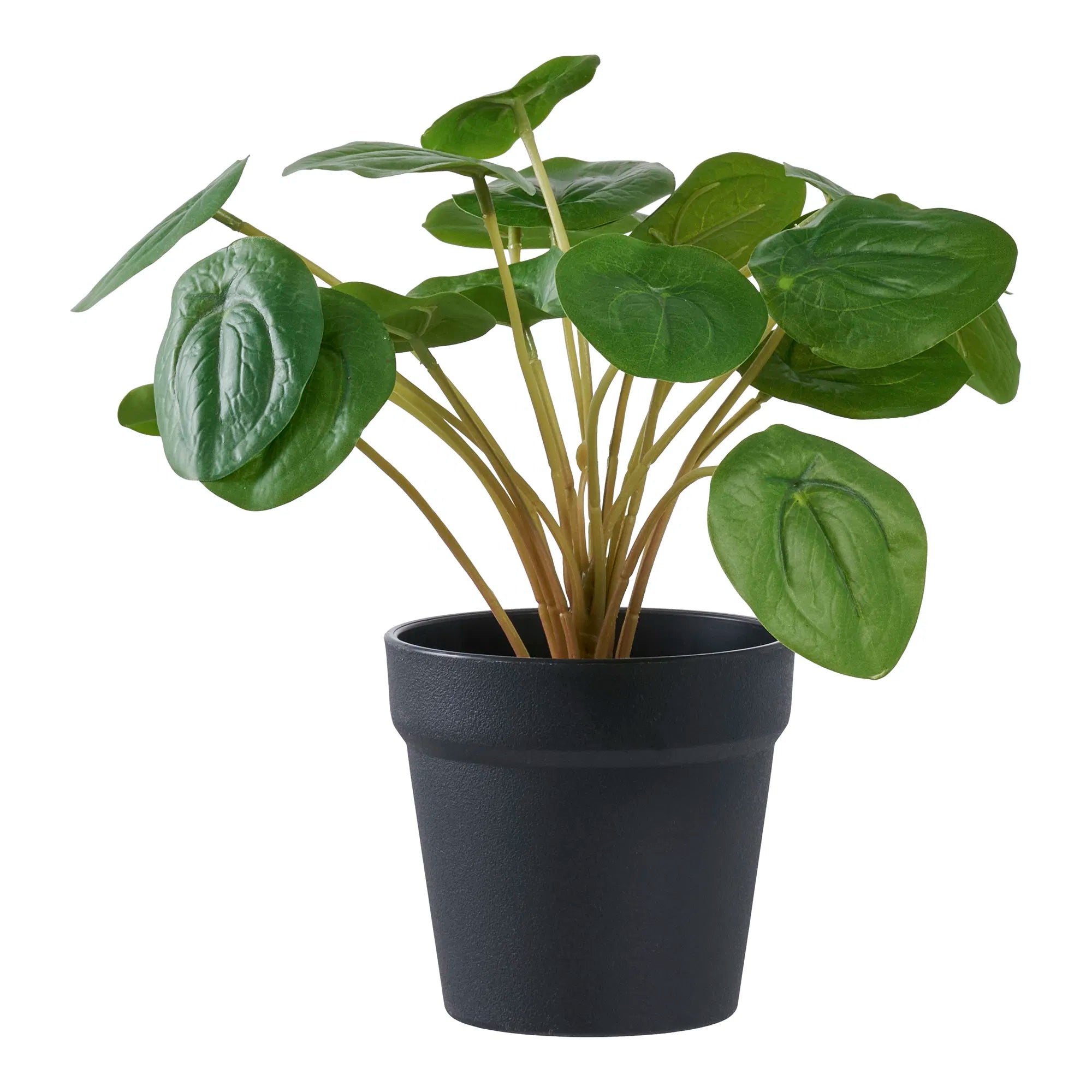 Umelá rastlina Pelia – 28 cm dekoratívnej sviežosti v miniformáte