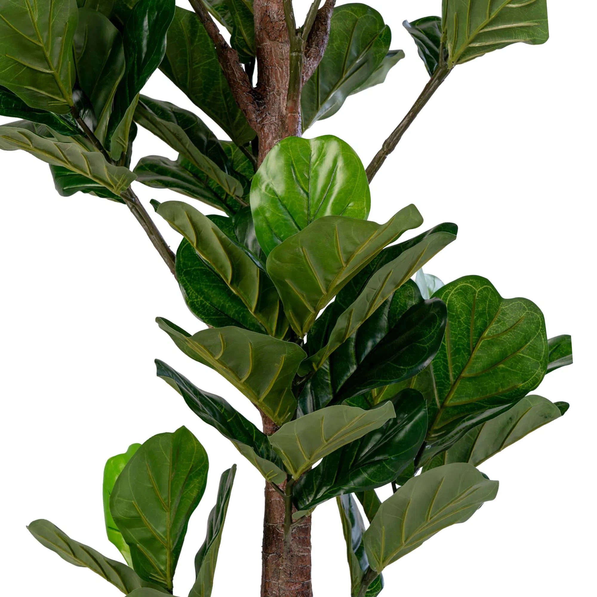 Umelá rastlina Fiddle Leaf Tree – 190 cm XL veľkosť s prírodným džungľovým vzhľadom