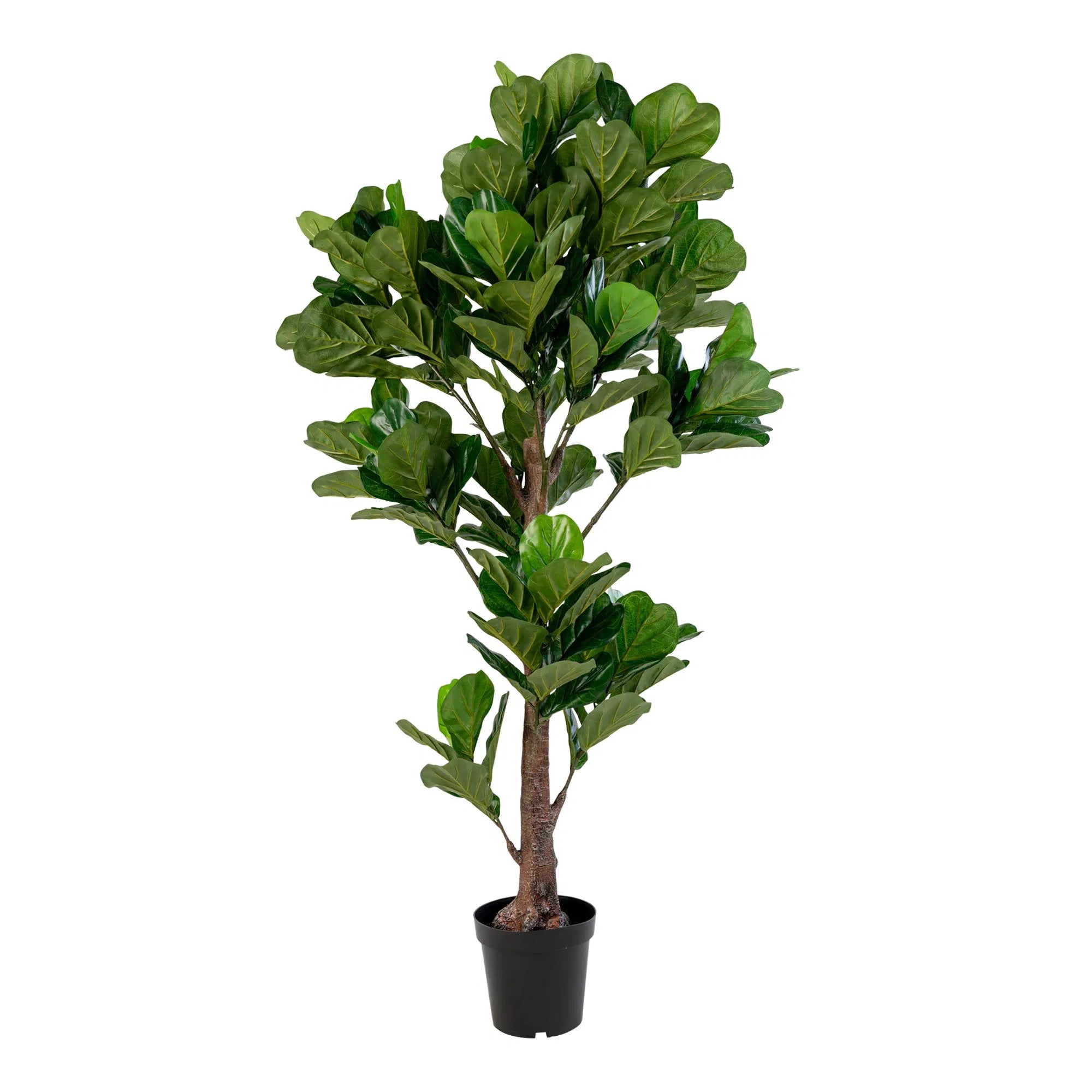 Umelá rastlina Fiddle Leaf Tree – 190 cm XL veľkosť s prírodným džungľovým vzhľadom