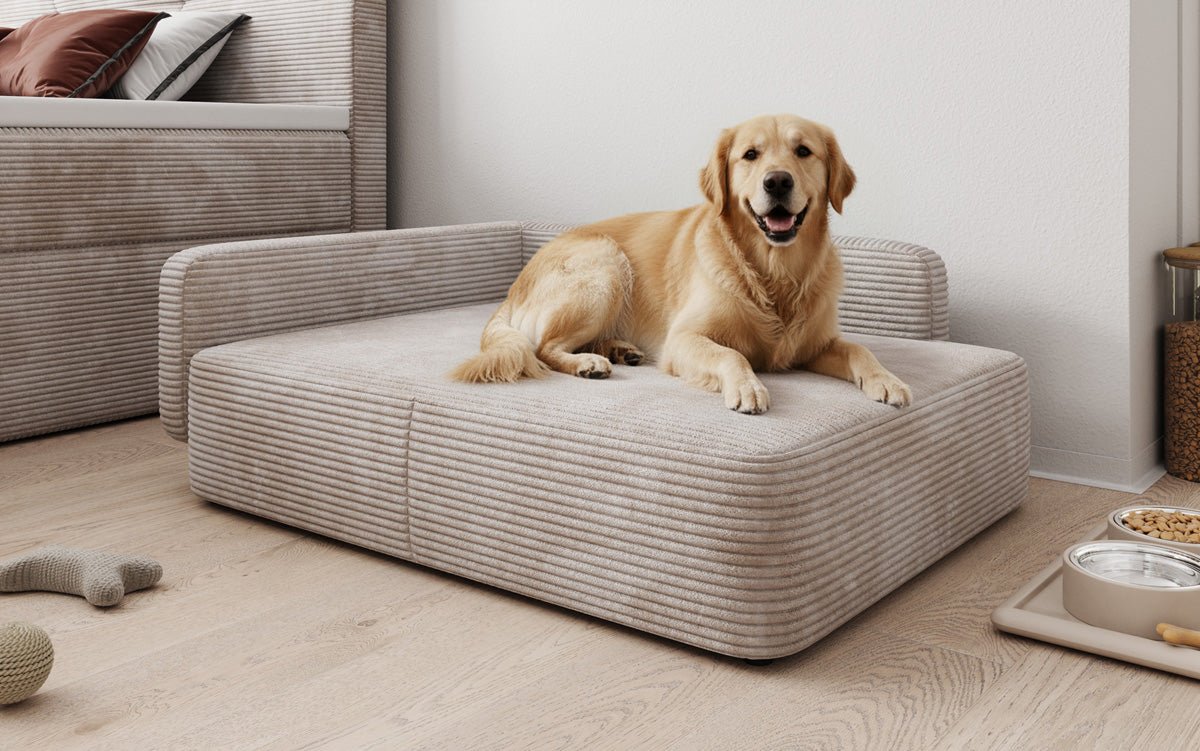 Psia posteľ BelloCouch 80 × 100 cm v Mančester
