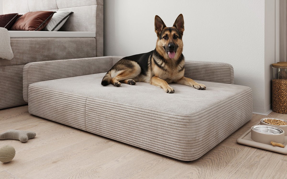 Psia posteľ BelloCouch 100 × 120 cm v Mančester